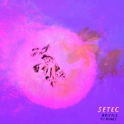 SETEC